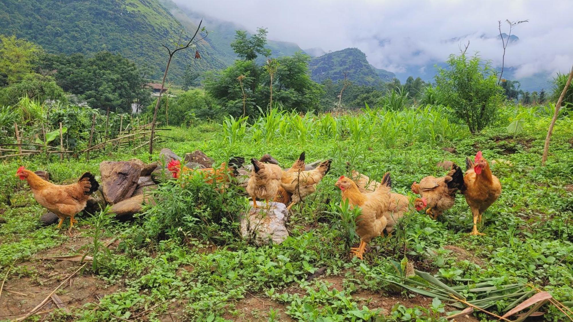 DU GIA Homestay&Hostel Lang Cac Phòng bức ảnh